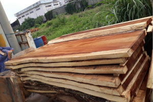 Bàn gỗ me tây xu hướng mới trong thiết kế nội thất